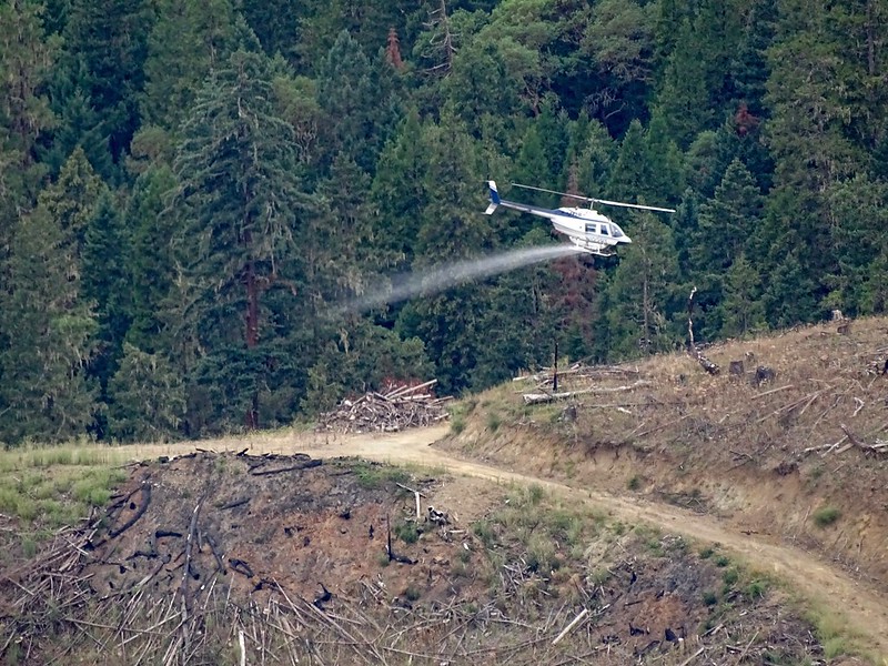 An aerial eradication operation conducted by helicopter.